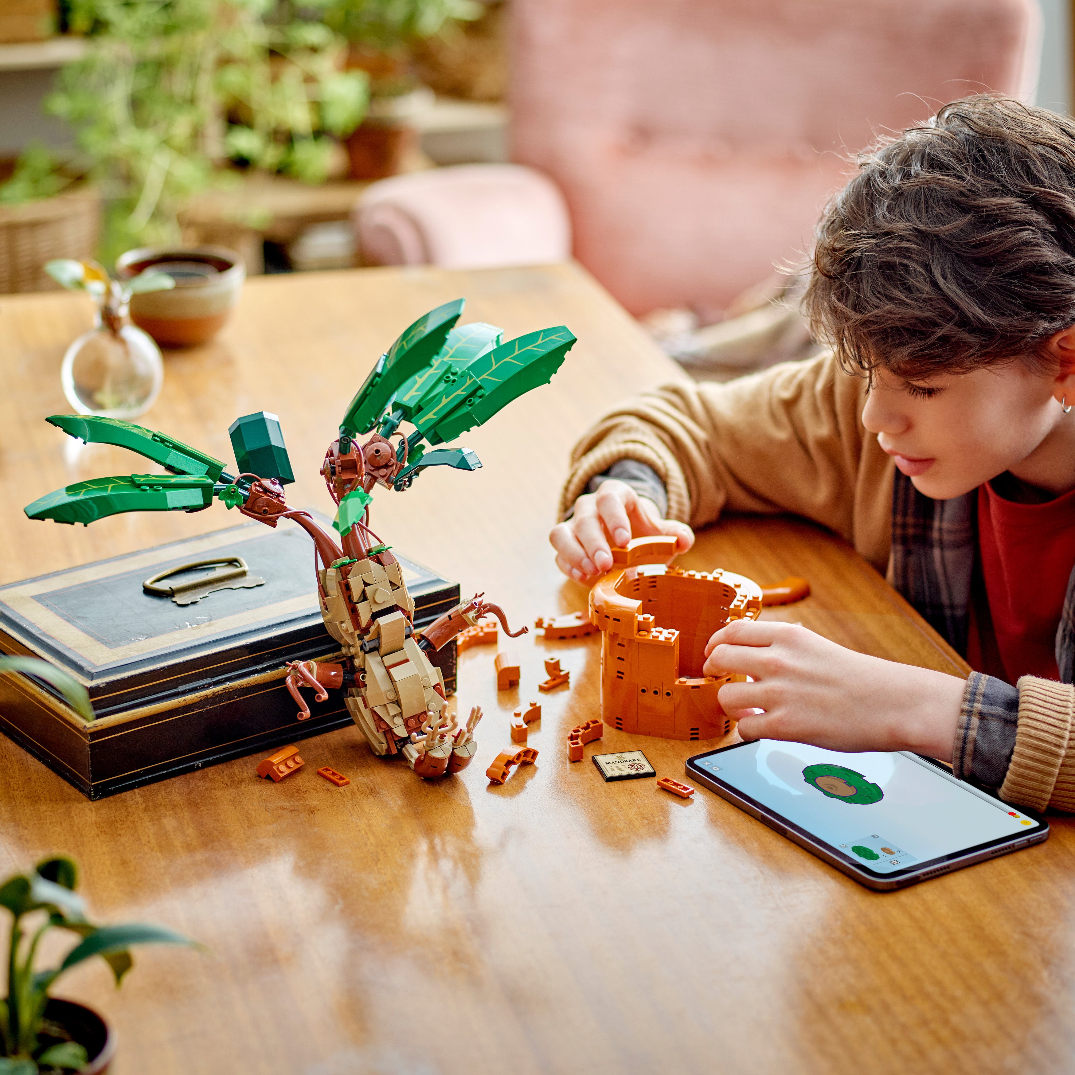 LEGO® Harry Potter™ Zaubertrankpflanze: Alraune (76433)