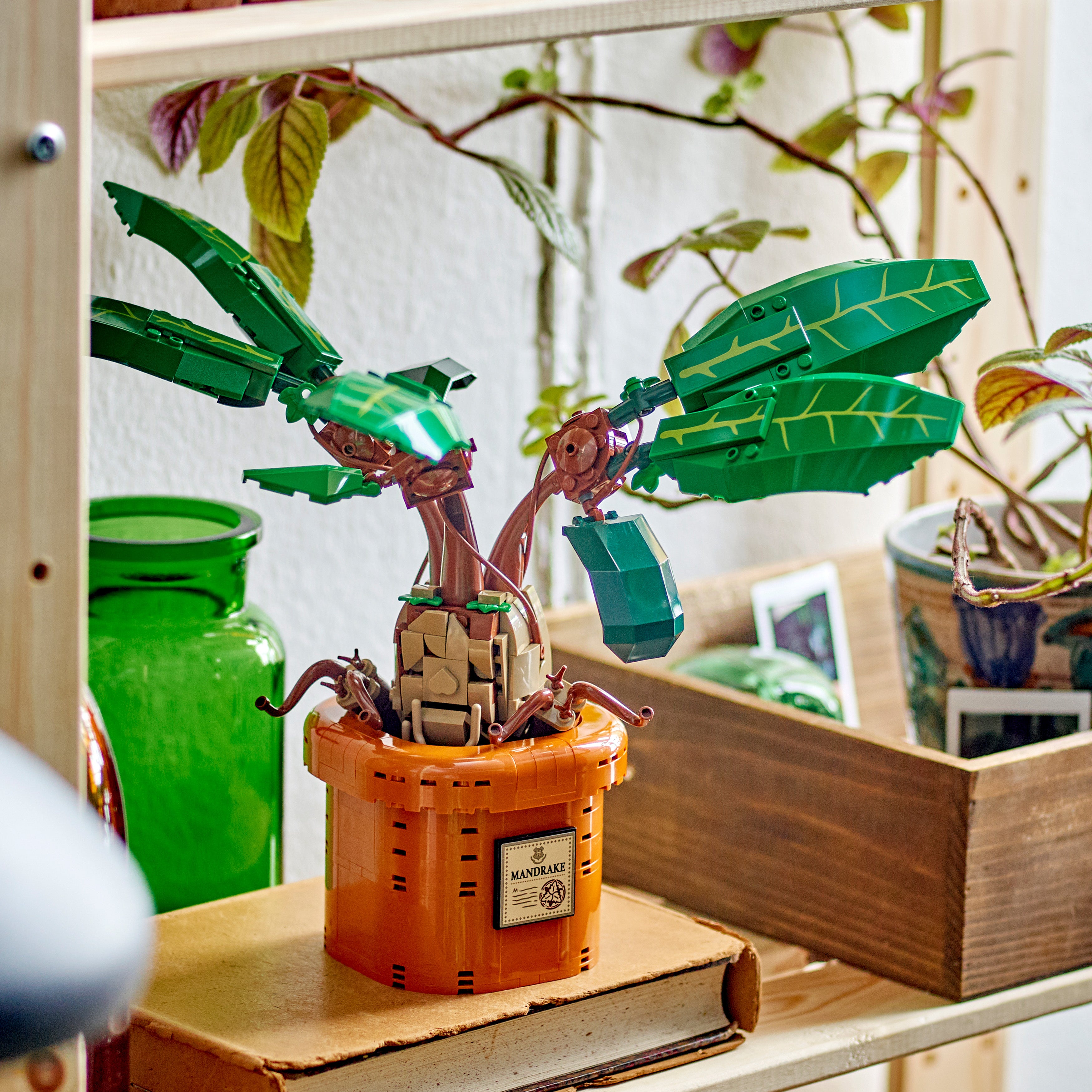 LEGO® Harry Potter™ Zaubertrankpflanze: Alraune (76433)